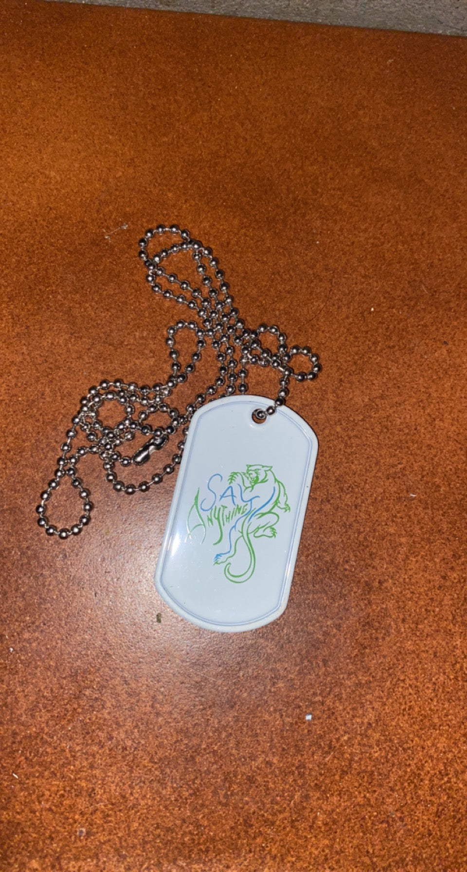 Say Anything Dogchain Necklace